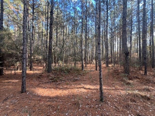 25-ac Smyrna Road Florala, AL 36442 - Photo 22 of 36 Gallery Image 22