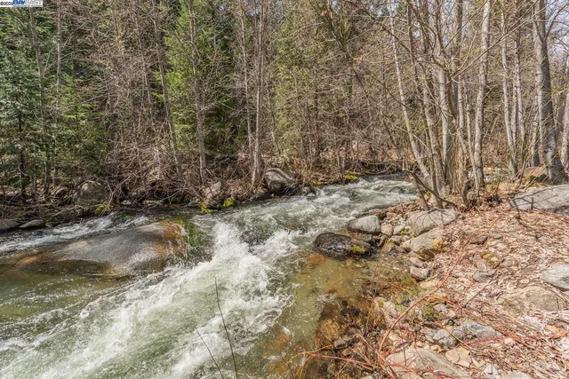 a view of a yard with trees