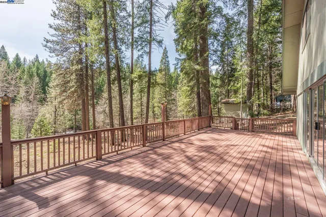 a view of backyard with tree