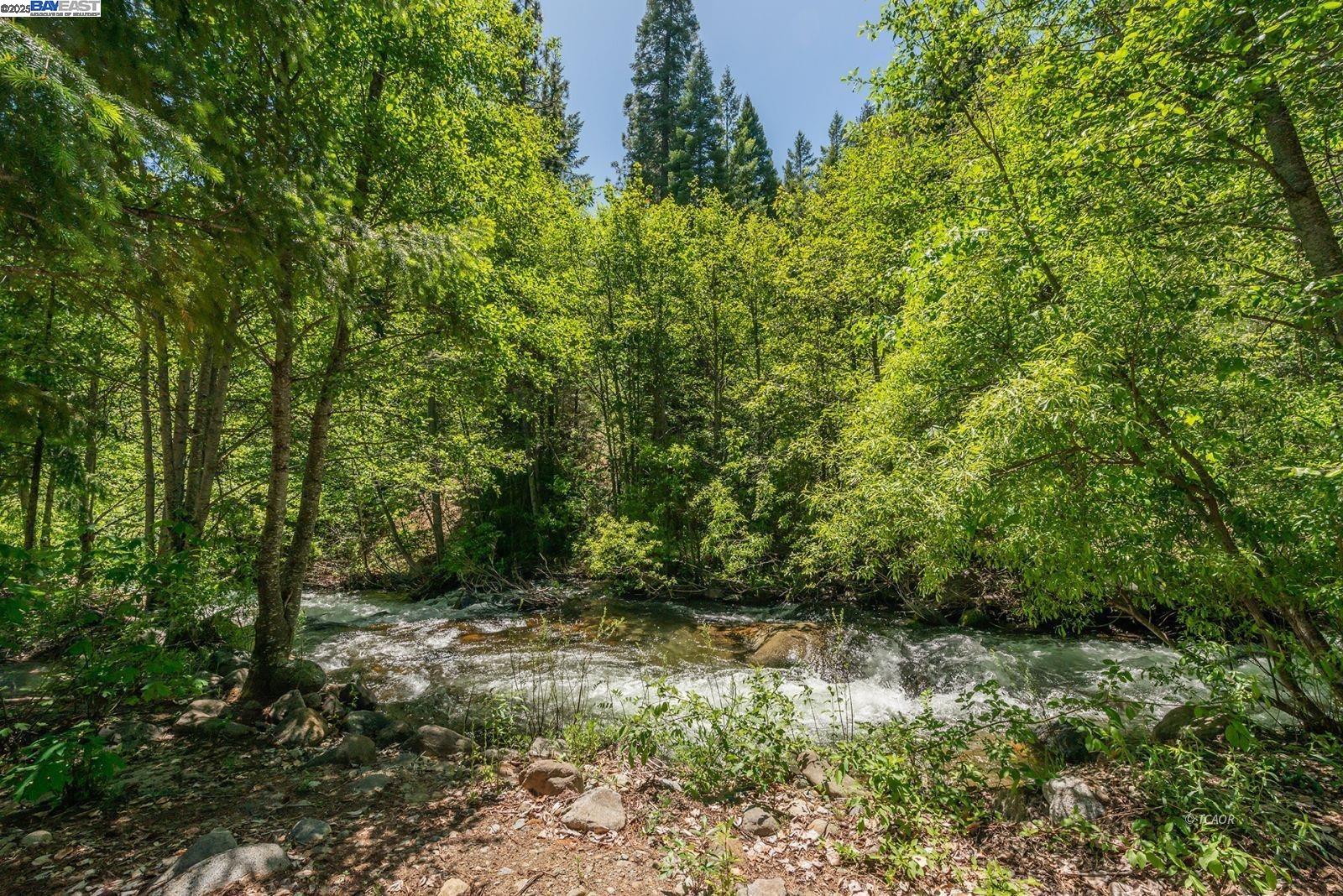 121 Mountain Aire Lane Trinity Center, CA 96091 - Photo 3 of 51 a view of outdoor space and garden