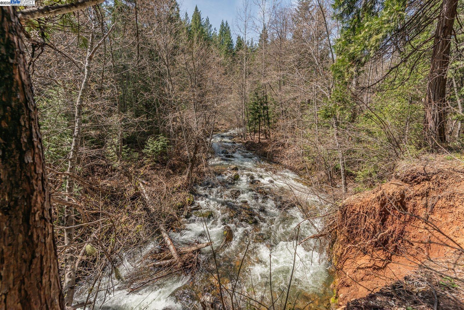121 Mountain Aire Lane Trinity Center, CA 96091 - Photo 32 of 51 a view of a yard with a tree