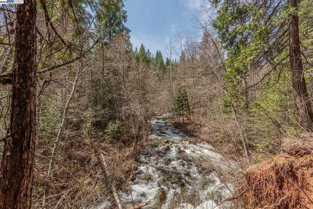 a view of a yard with a tree
