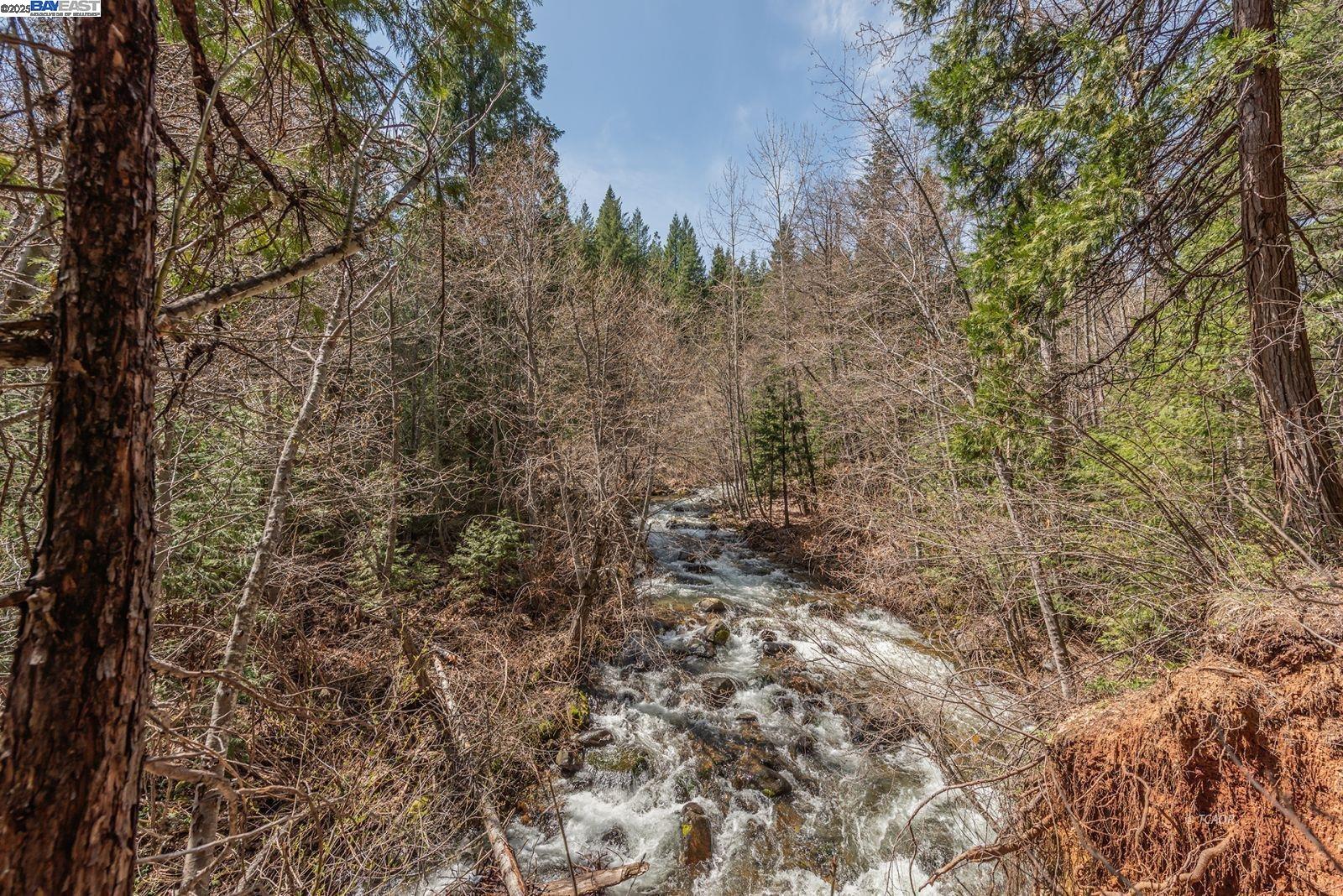 121 Mountain Aire Lane Trinity Center, CA 96091 - Photo 33 of 51 a view of a yard with a tree