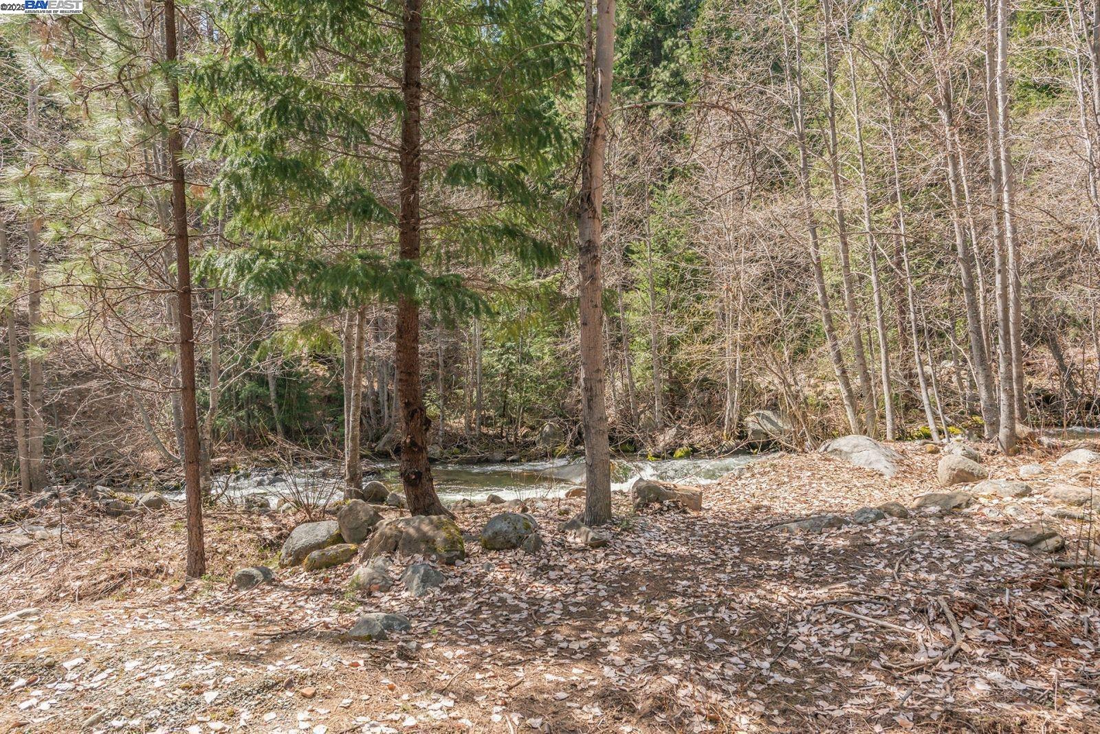 121 Mountain Aire Lane Trinity Center, CA 96091 - Photo 39 of 51 a view of dirt and trees
