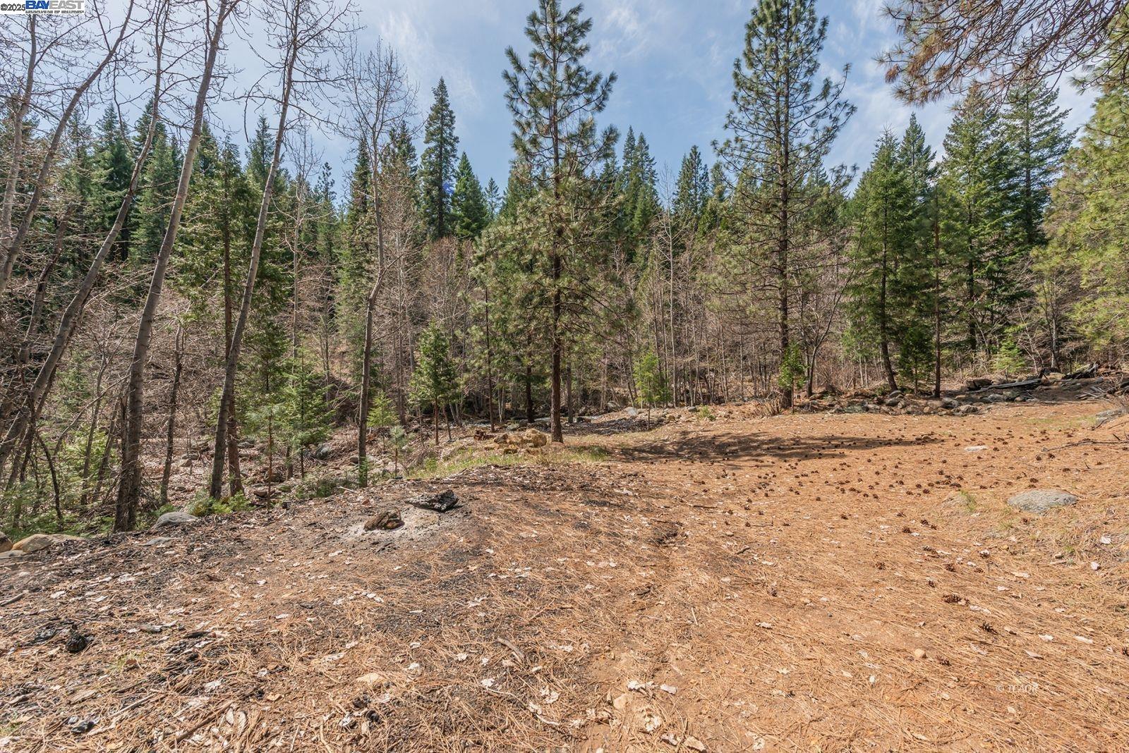121 Mountain Aire Lane Trinity Center, CA 96091 - Photo 41 of 51 a view of covered with snow