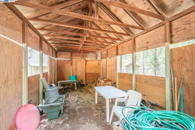 a view of a forest with trees in the background