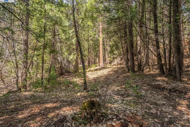 $345,000 | 121 Mountain Aire Lane, Trinity Center, CA 96091