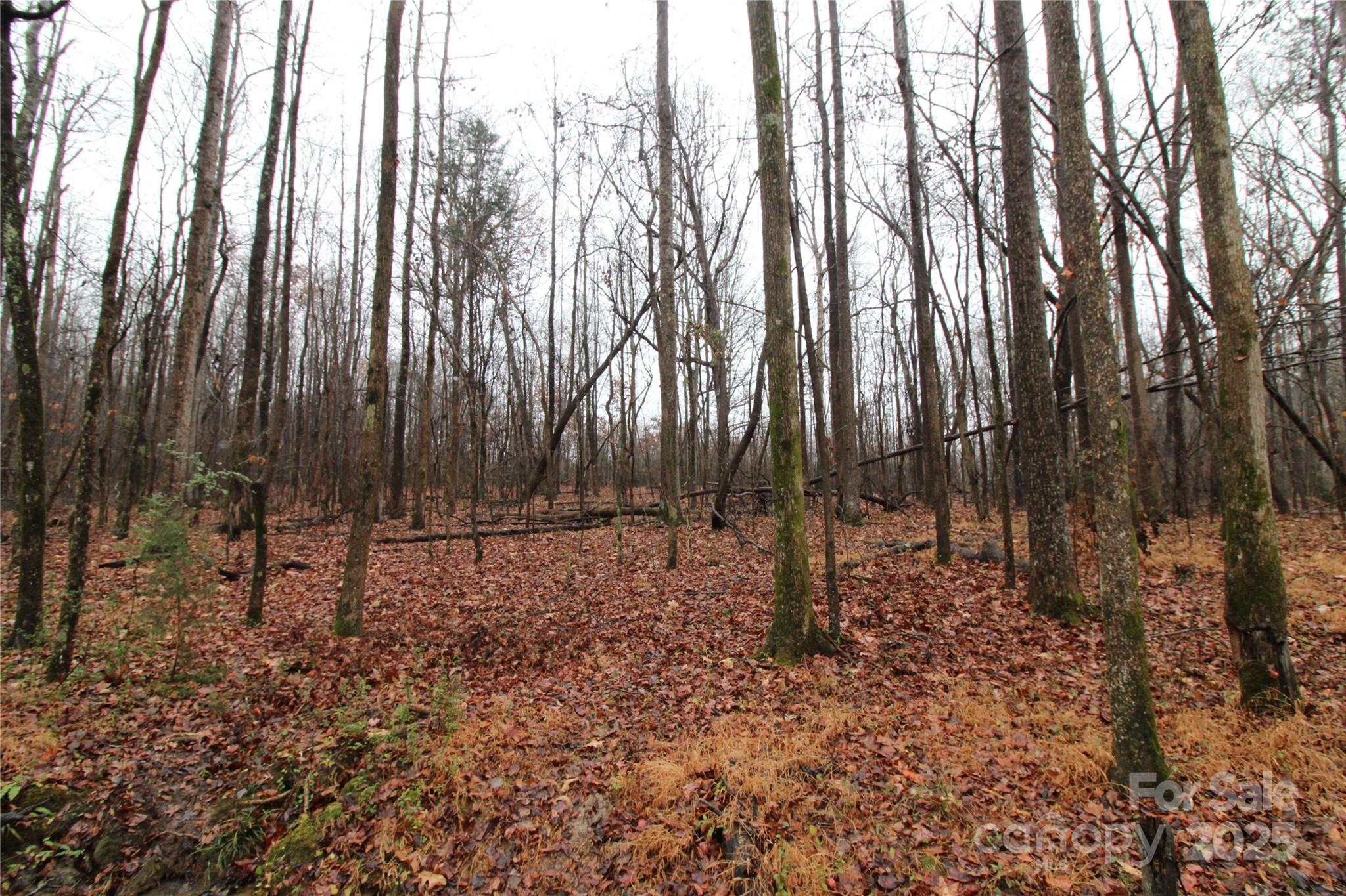 5-ac Eaker Road, Unit LOT 1 Bessemer City, NC 28016 - Photo 5 of 5