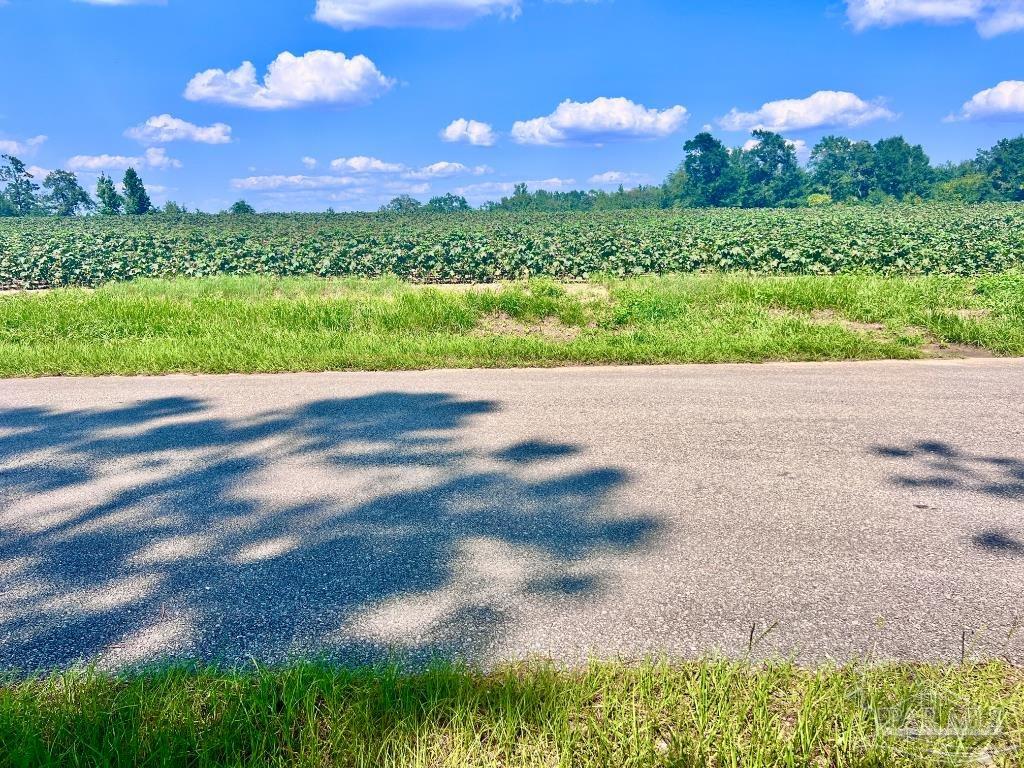 Lot 10 Sid Hayes Road Jay, FL 32565 - Photo 1 of 16 Gallery Image 1