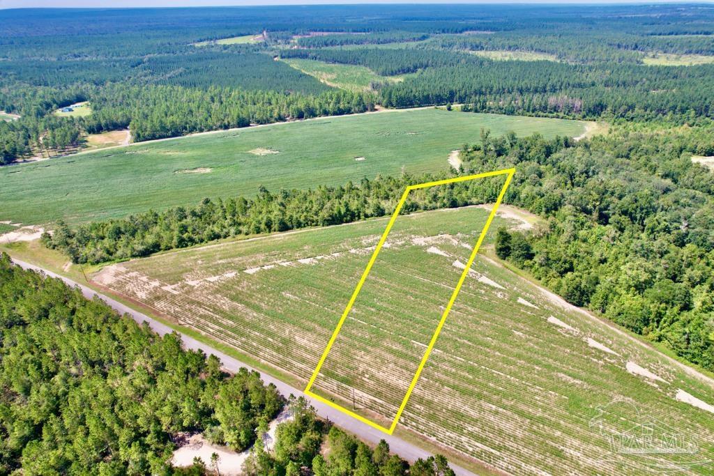 Lot 10 Sid Hayes Road Jay, FL 32565 - Photo 5 of 16 Gallery Image 5