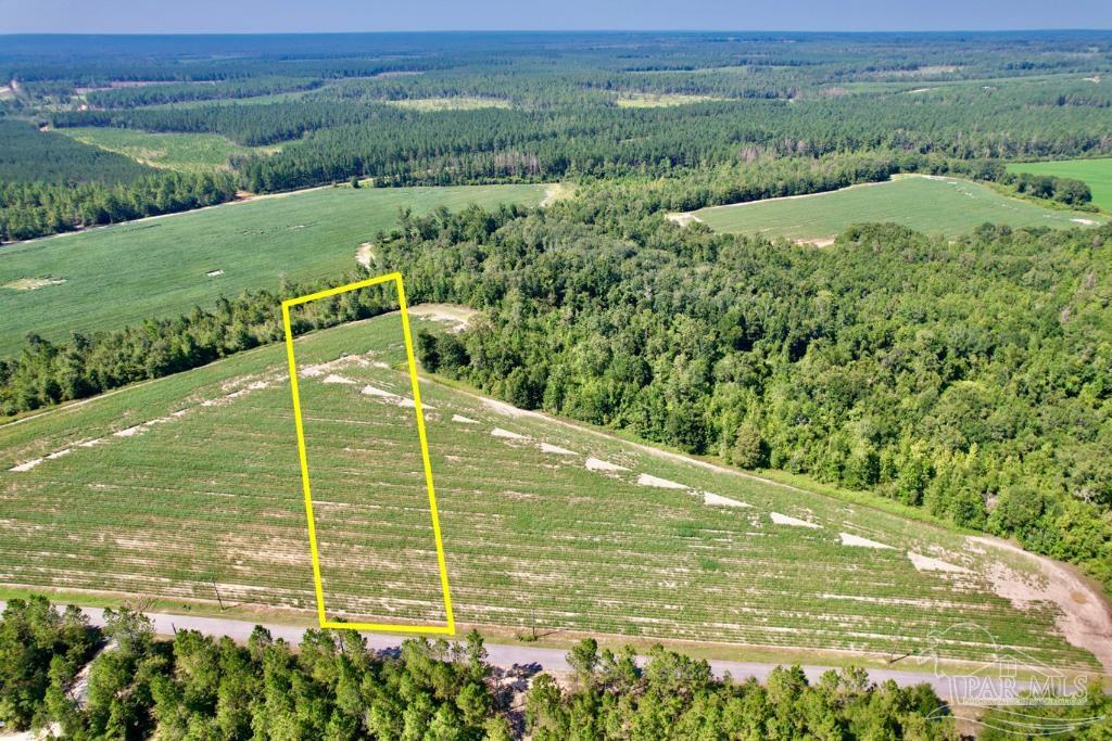Lot 10 Sid Hayes Road Jay, FL 32565 - Photo 6 of 16 Gallery Image 6