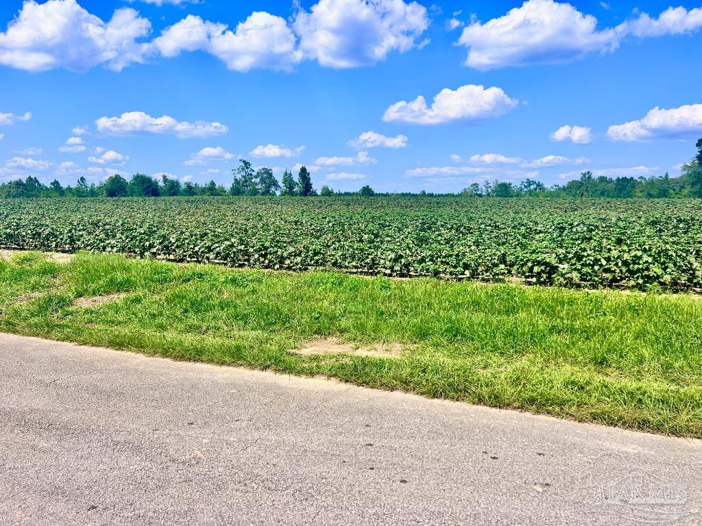 Lot 10 Sid Hayes Road Jay, FL 32565 - Photo 10 of 16 Gallery Image 10