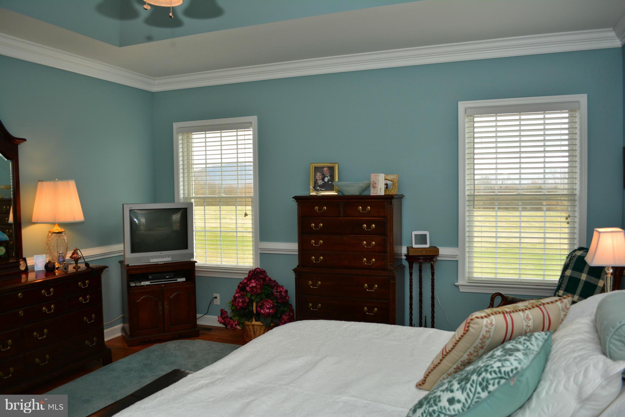 628 Hook Hill Road Luray, VA 22835 - Photo 16 of 30 Bath (Master)