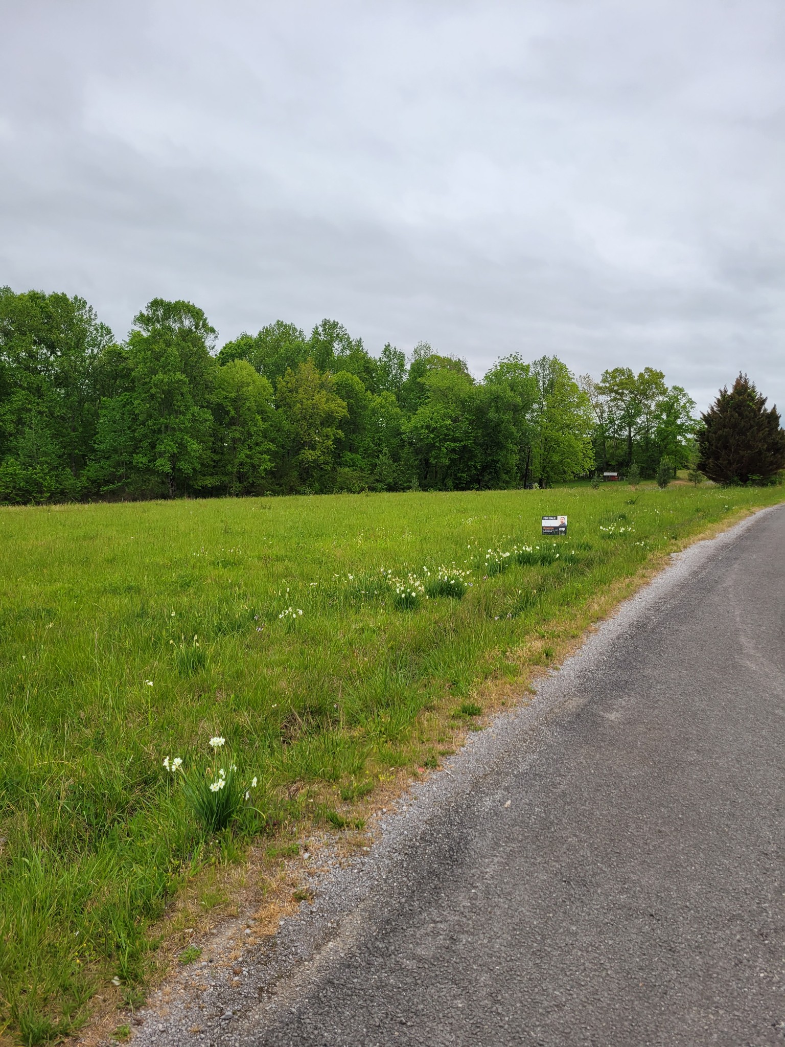 a view of a field with an trees in the background