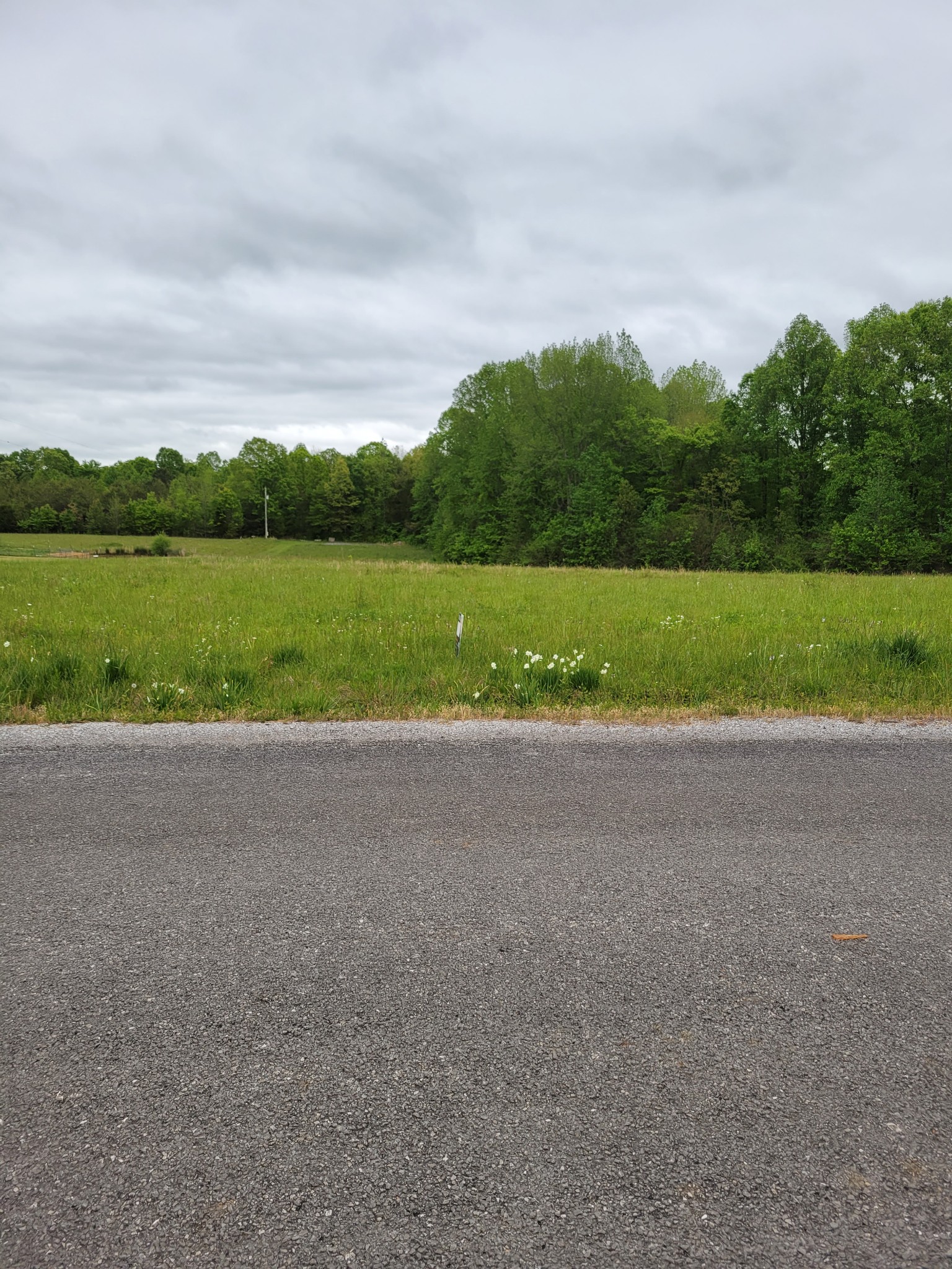0 Ike Adcock Road Smithville, TN 37166 - Photo 2 of 3 a view of a field and grass and a fence