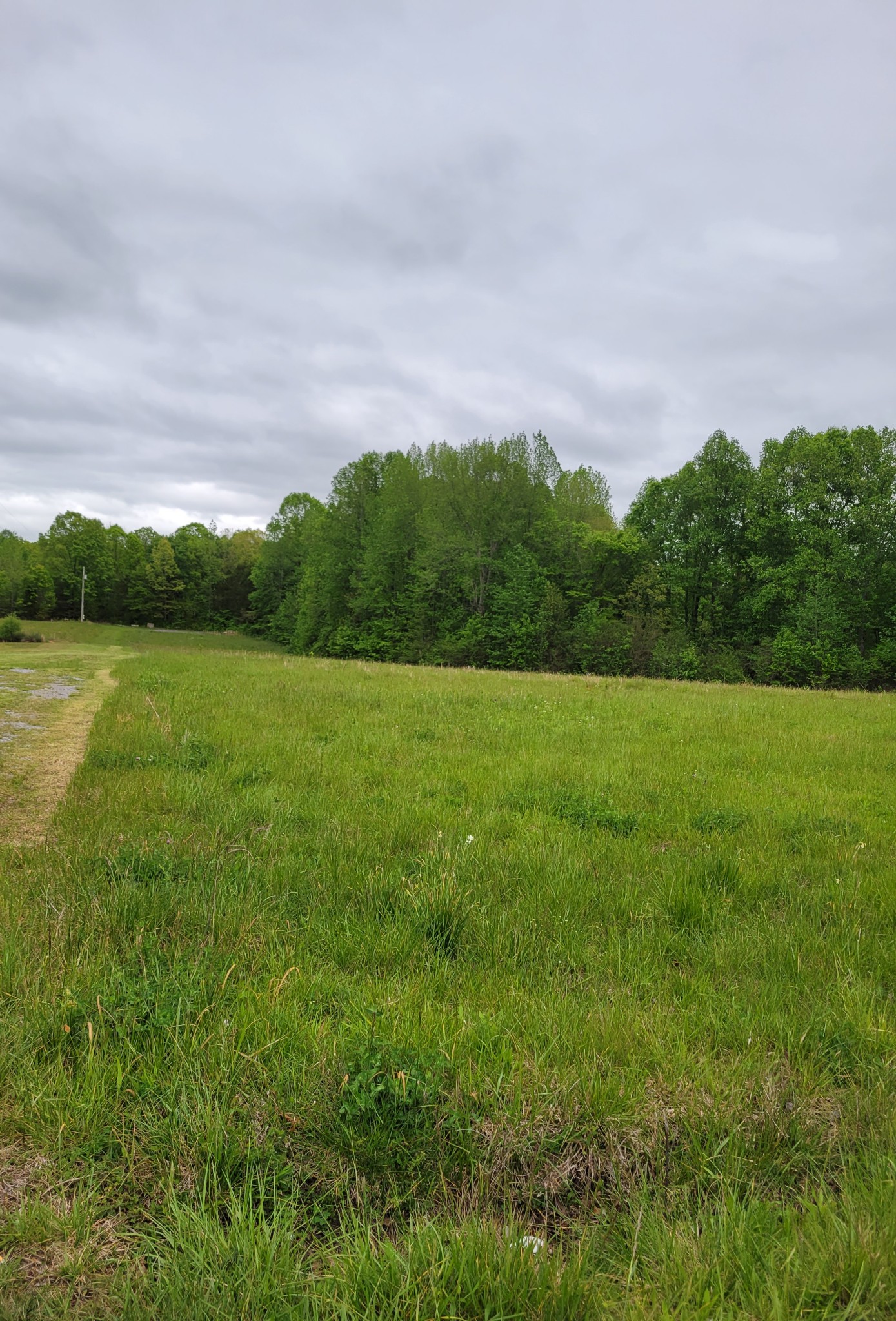 0 Ike Adcock Road Smithville, TN 37166 - Photo 3 of 3 a view of a field with an ocean and trees