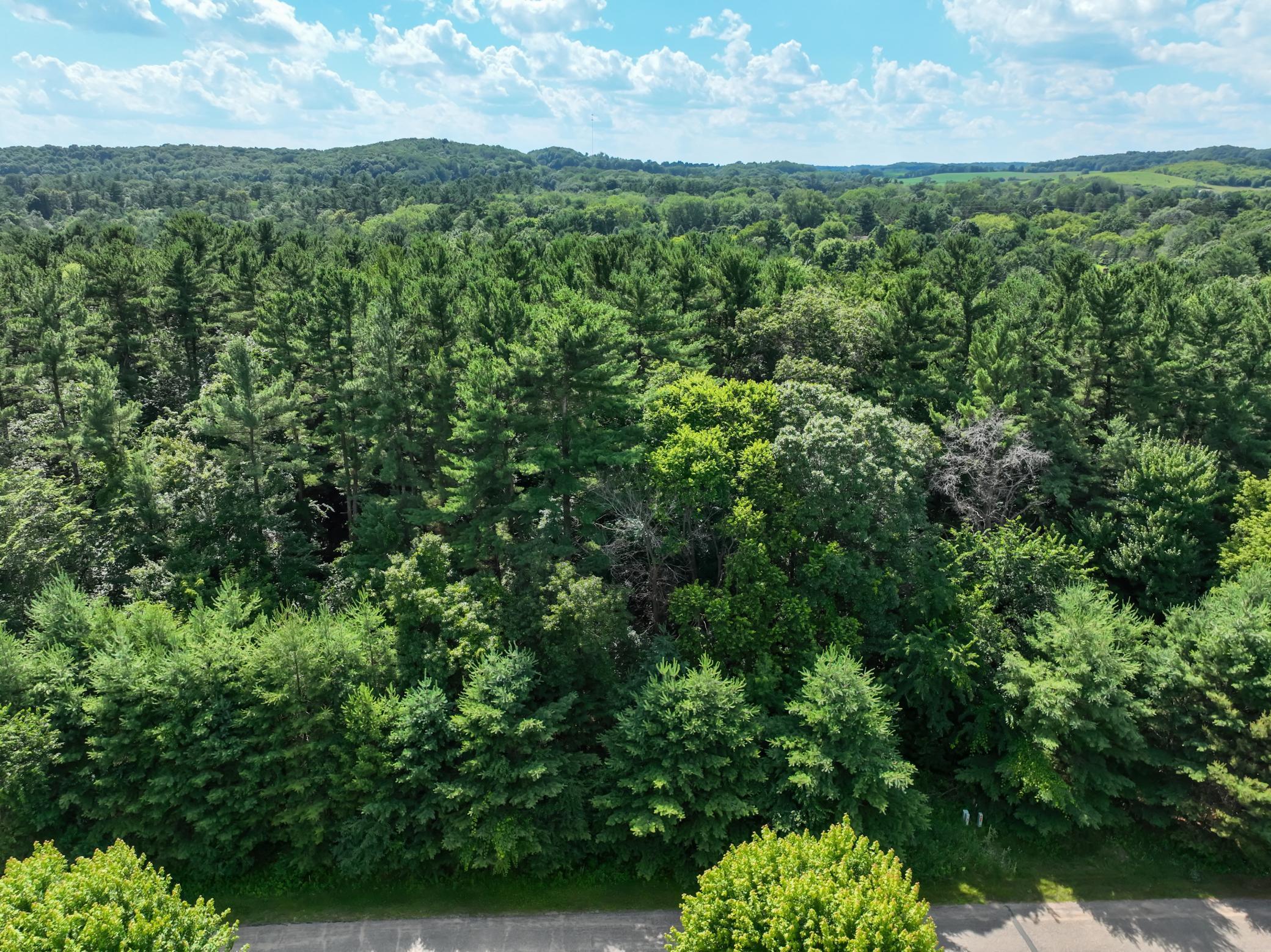 N6927 549th Street Menomonie, WI 54751 - Photo 14 of 21