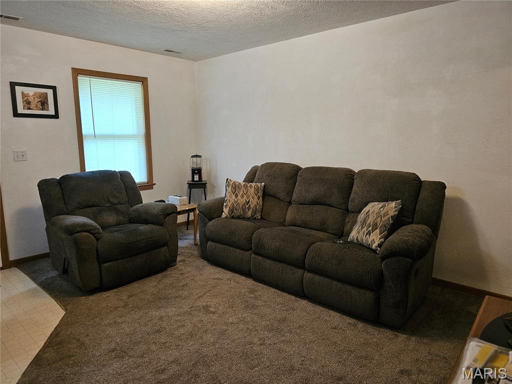 603 City Lake Road Percy, IL 62272 - Photo 20 of 36