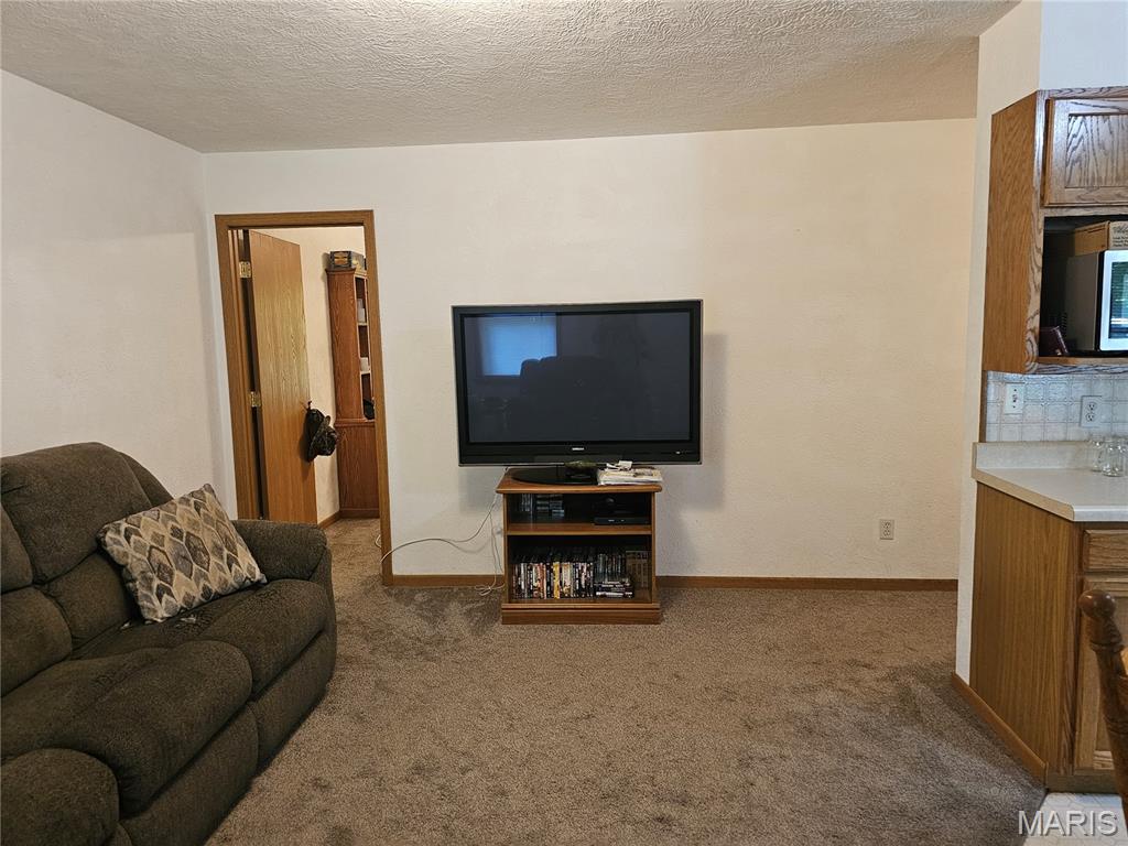 603 City Lake Road Percy, IL 62272 - Photo 24 of 36