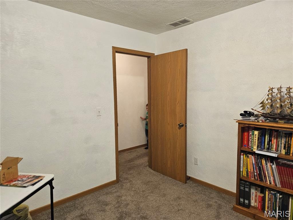 603 City Lake Road Percy, IL 62272 - Photo 27 of 36
