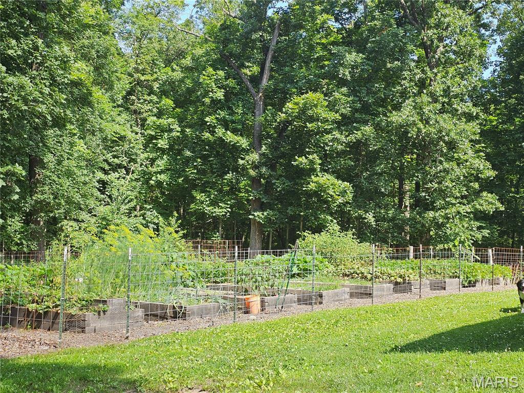 603 City Lake Road Percy, IL 62272 - Photo 29 of 36