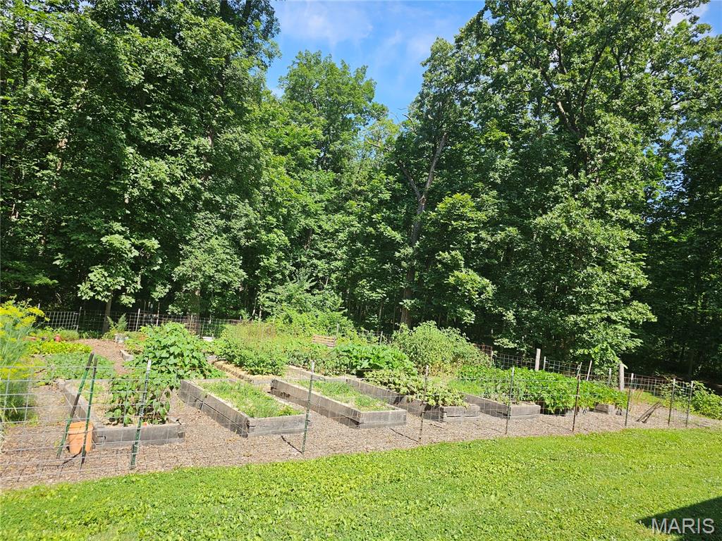 603 City Lake Road Percy, IL 62272 - Photo 30 of 36