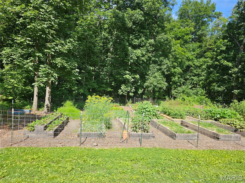 603 City Lake Road Percy, IL 62272 - Photo 31 of 36