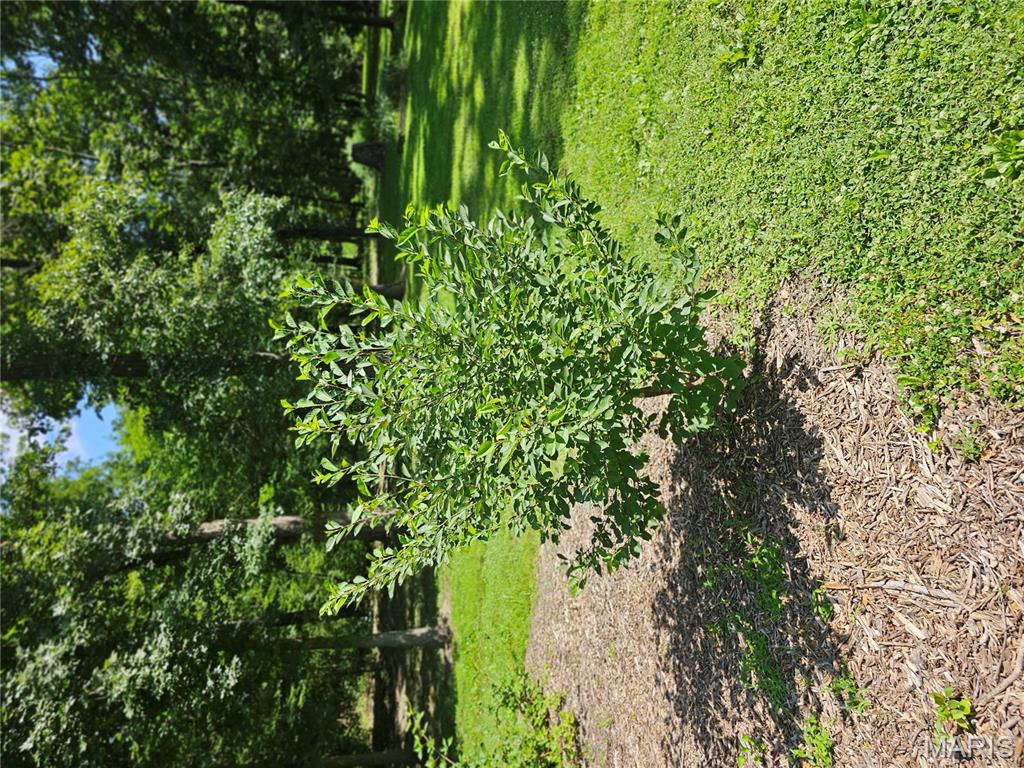 603 City Lake Road Percy, IL 62272 - Photo 32 of 36