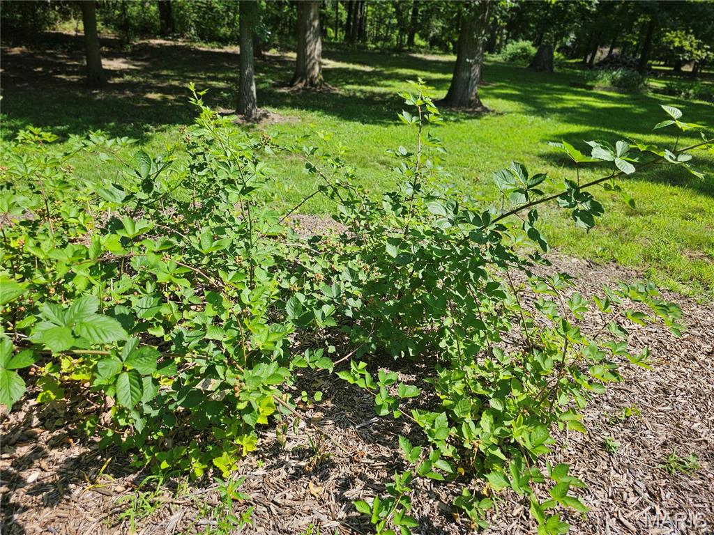 603 City Lake Road Percy, IL 62272 - Photo 34 of 36