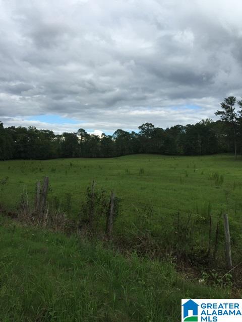 0 Barclay Road, Unit 2 Alpine, AL 35014 - Photo 13 of 16 Gallery Image 13