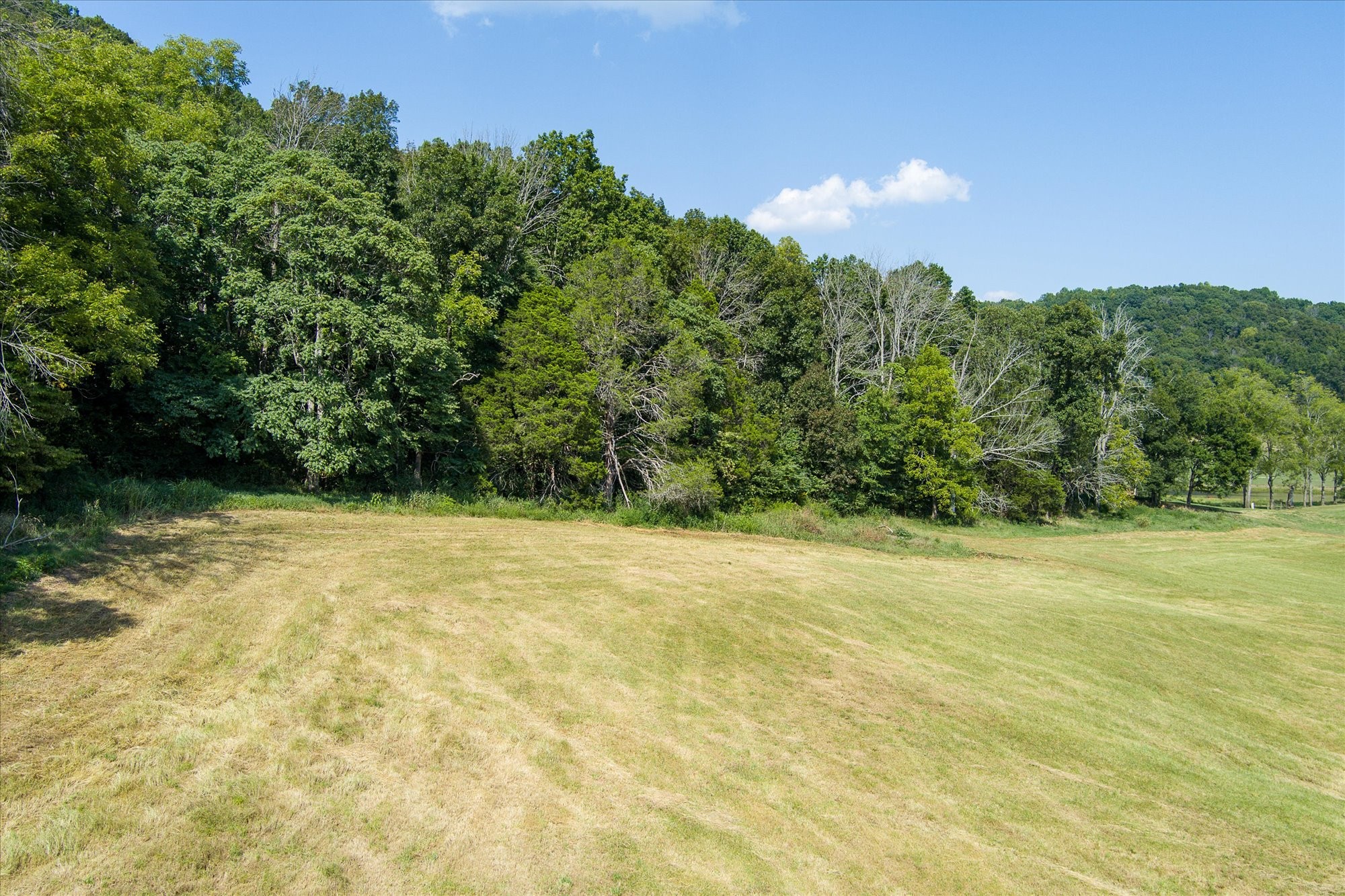 0 Jim Hennessee Road Sparta, TN 38583 - Photo 5 of 23 Gallery Image 5