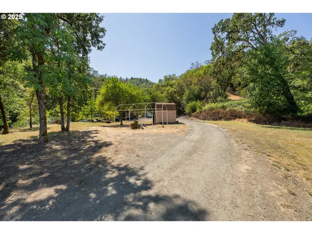 a view of a lake with lots of trees