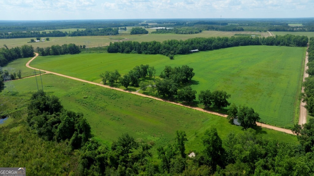 1034 Cecil Tyre Road Bristol, GA 31518 - Photo 49 of 63