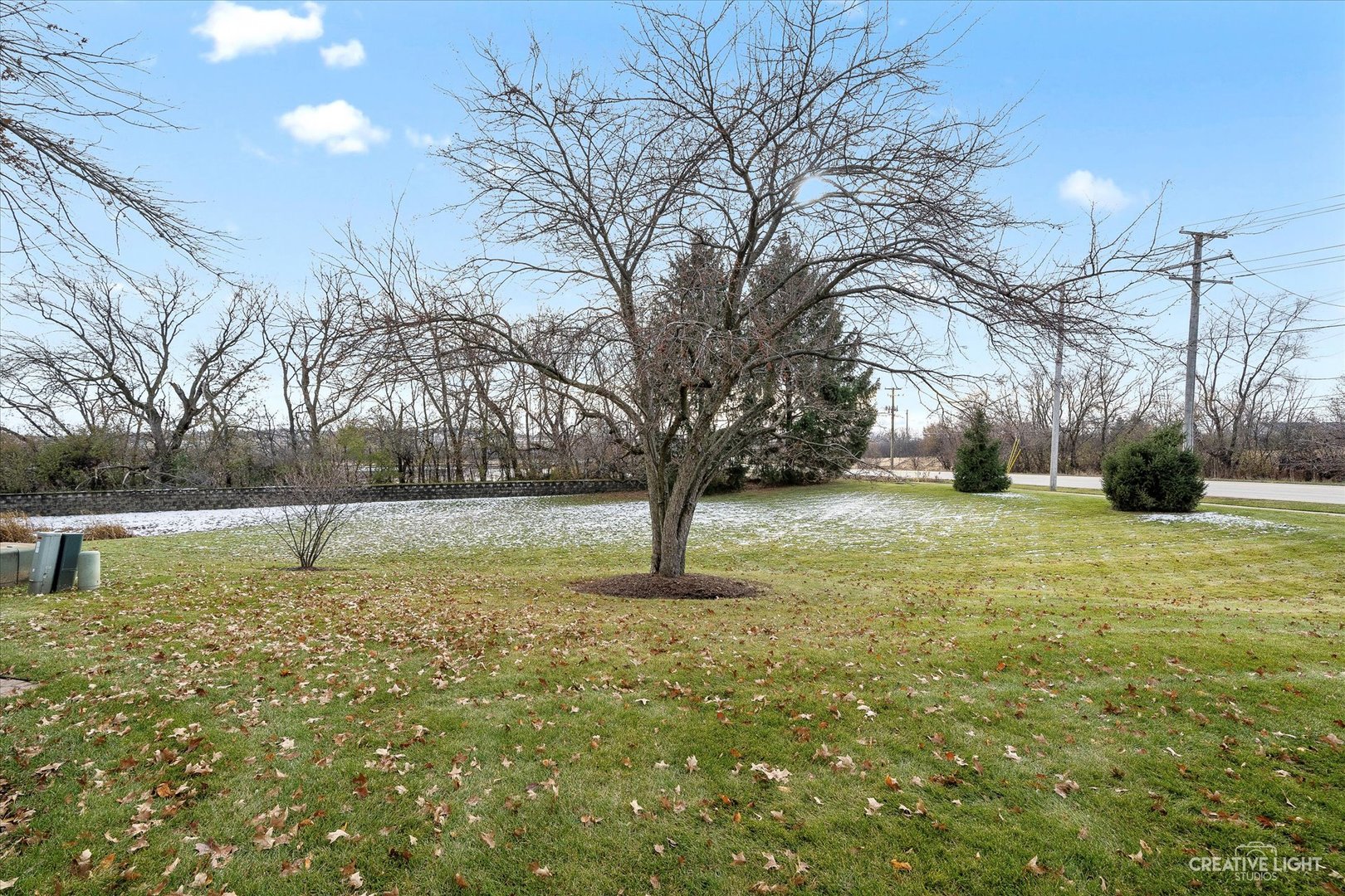 1369 Spaulding Road Bartlett, IL 60103 - Photo 14 of 15 a backyard of apartments with large trees