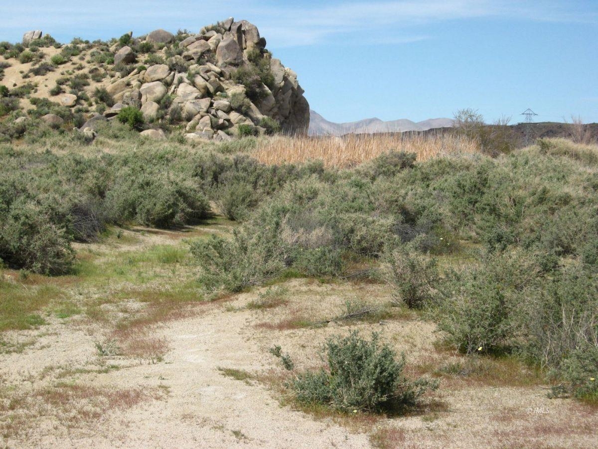 350 Little Lake Road Inyokern, CA 93527 - Photo 20 of 26 a view of a yard with a mountain