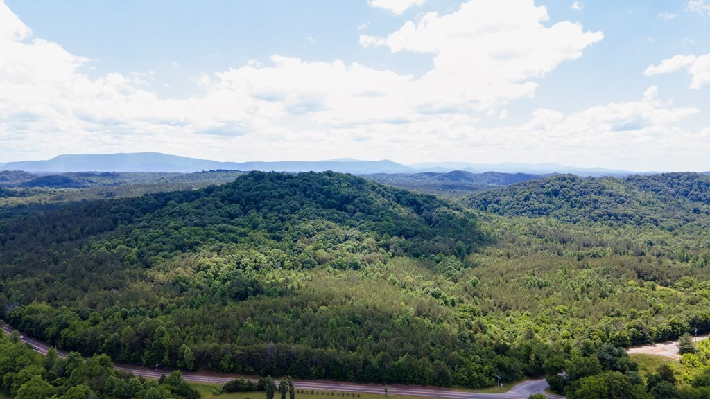 1 State Highway Calhoun, TN 37309 - Photo 19 of 20