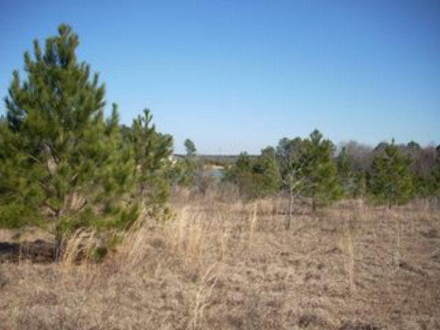 Lot 48 High Ridge Road Wray, GA 31798 - Photo 1 of 1