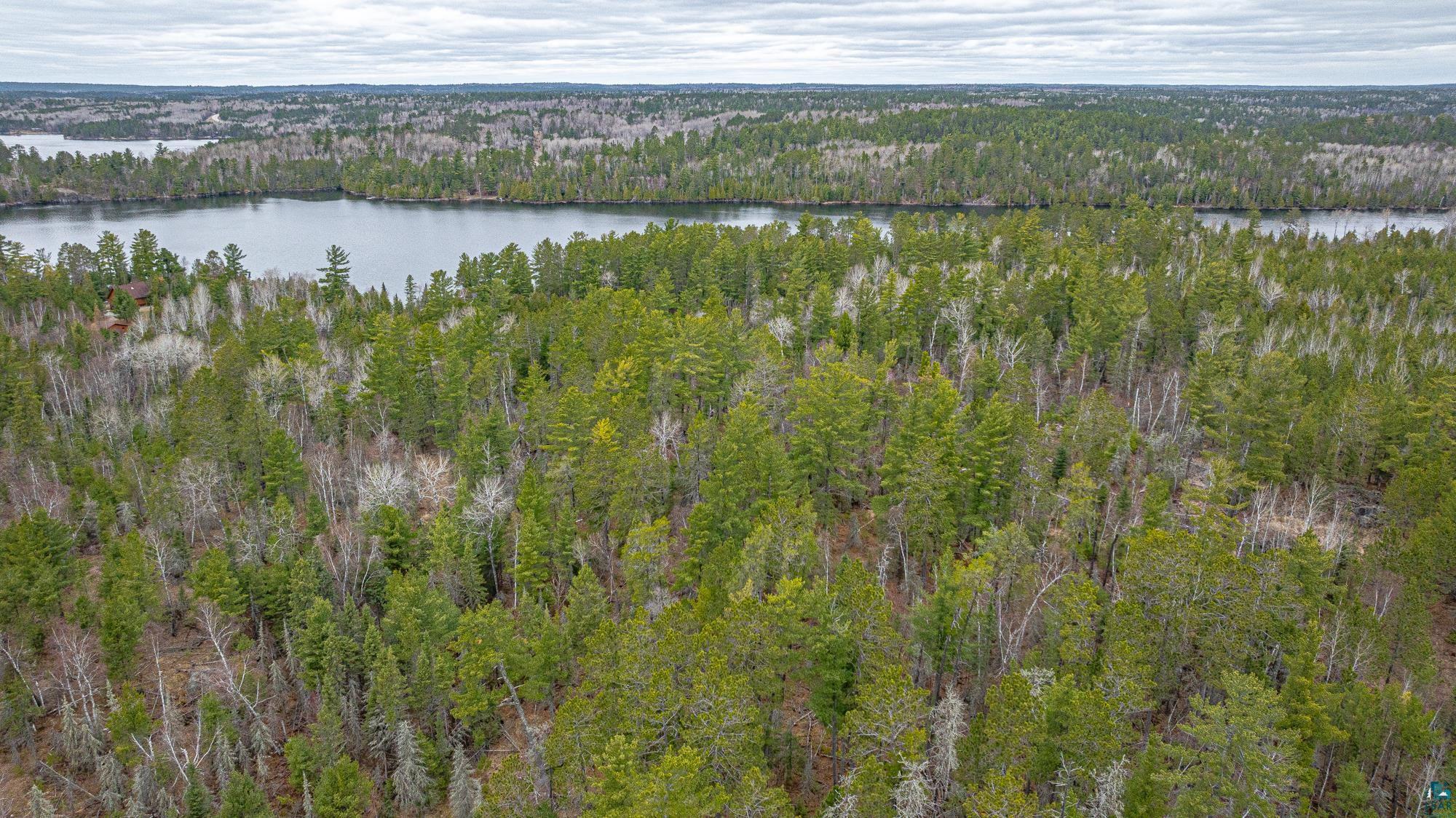 Tbd Lindbeck Road Ely, MN 55731 - Photo 26 of 44