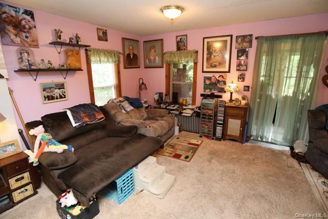 13 Kinney Road Long Eddy, NY 12760 - Photo 14 of 43 Gallery Image 14