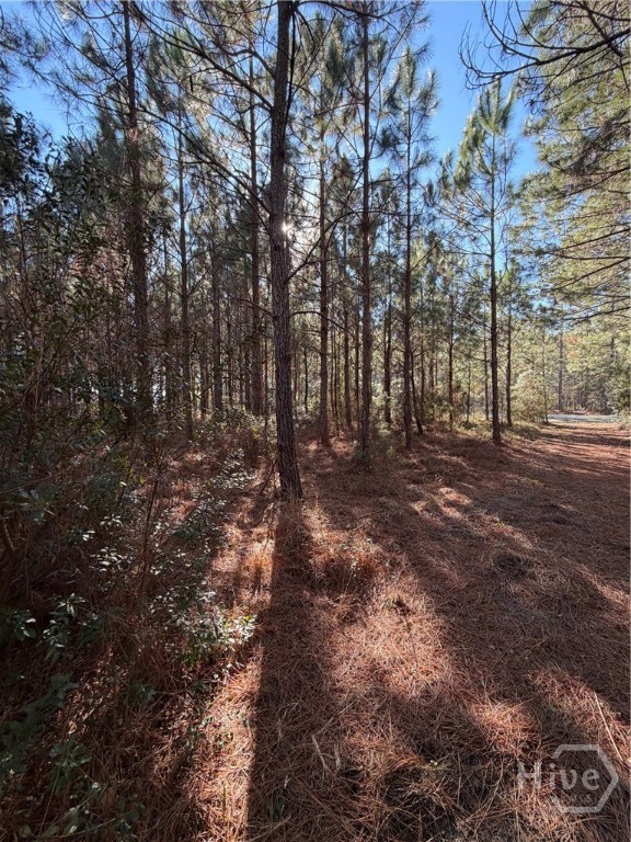 3 C McCall Road Springfield, GA 31329 - Photo 3 of 4