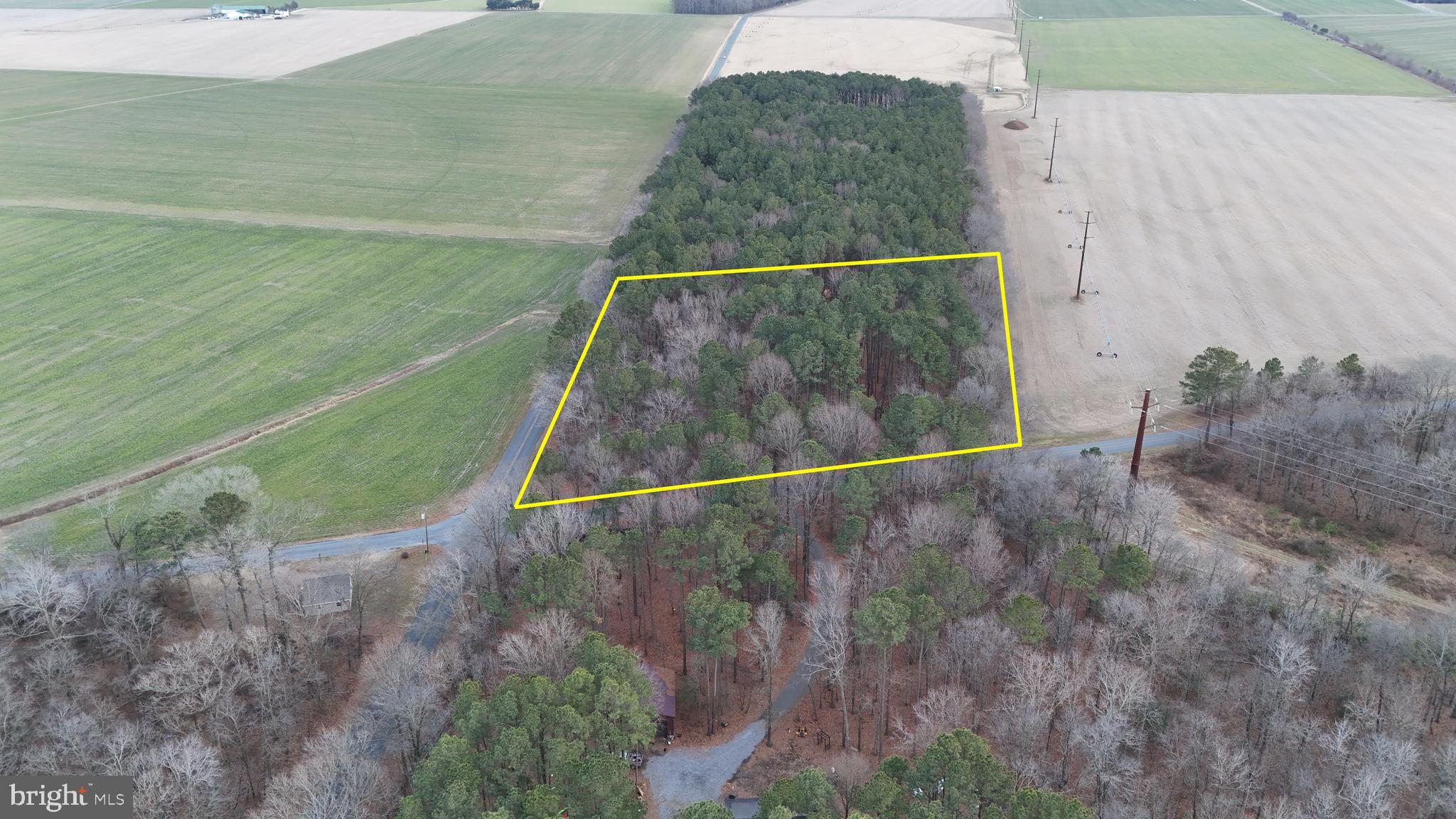 a view of a dry yard