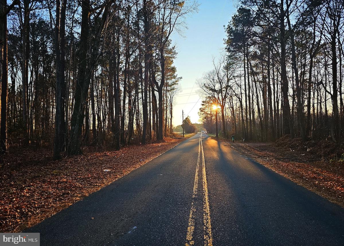 6749 Bobtown Road Hurlock, MD 21643 - Photo 11 of 20 a view of a street with trees on both side of it