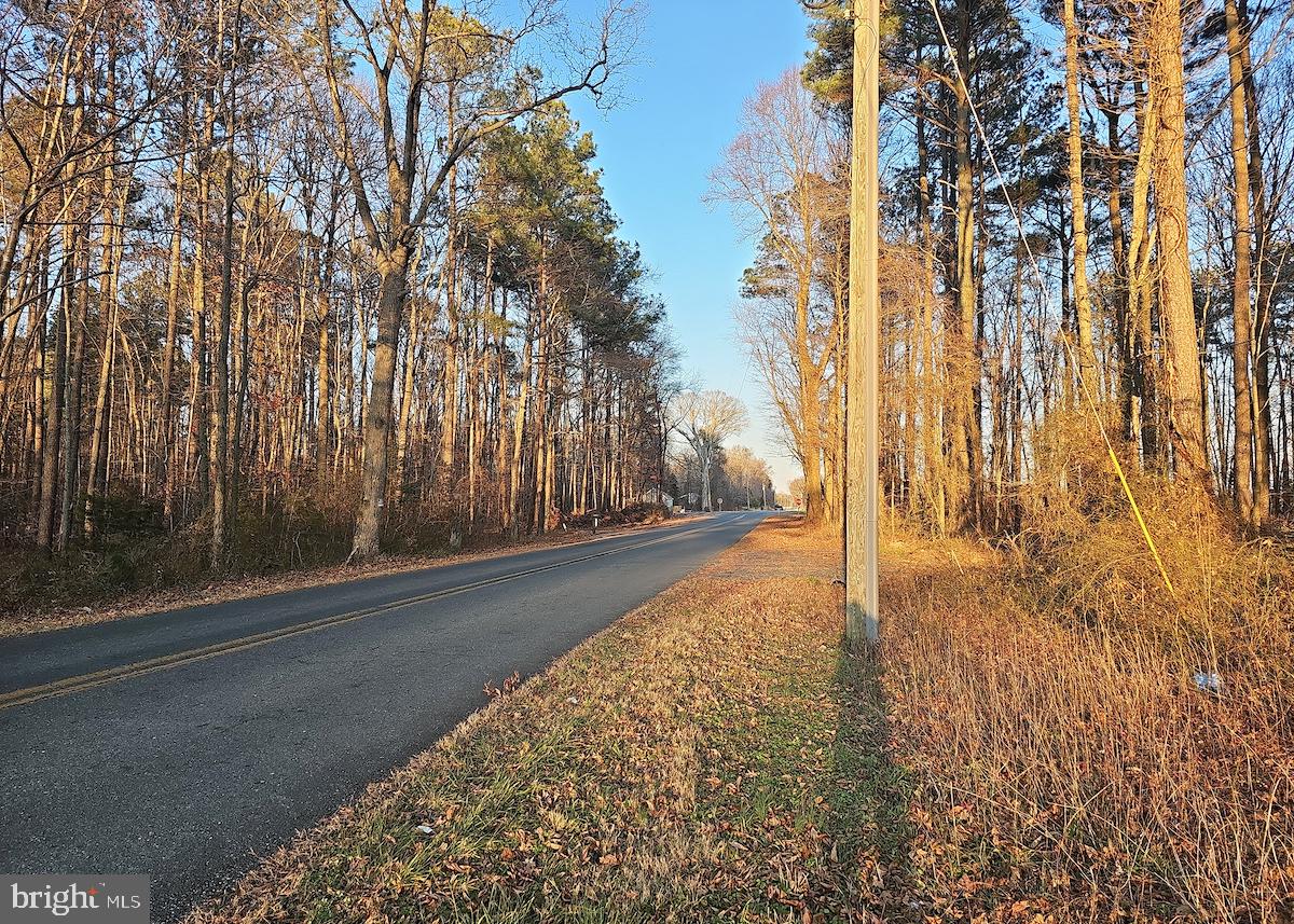 6749 Bobtown Road Hurlock, MD 21643 - Photo 12 of 20 a view of backyard with green space