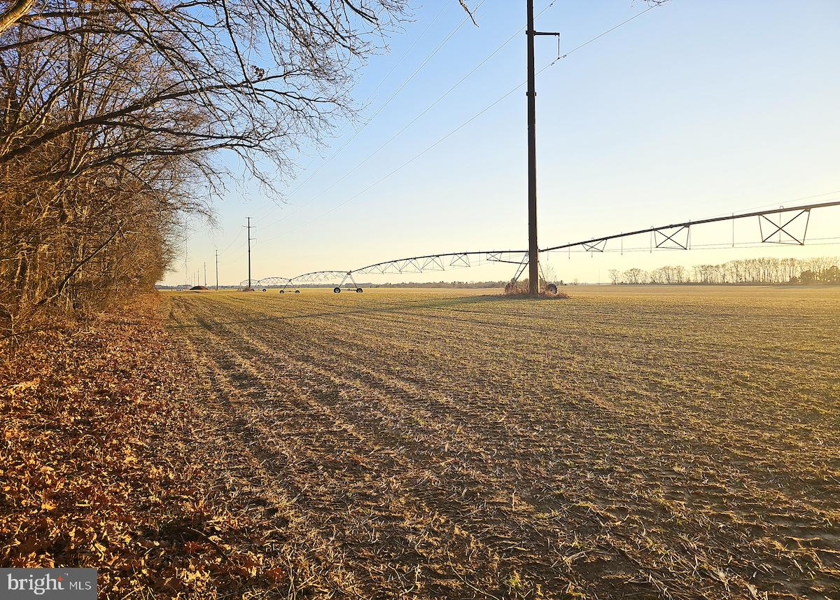 6749 Bobtown Road Hurlock, MD 21643 - Photo 13 of 20 a view of an ocean