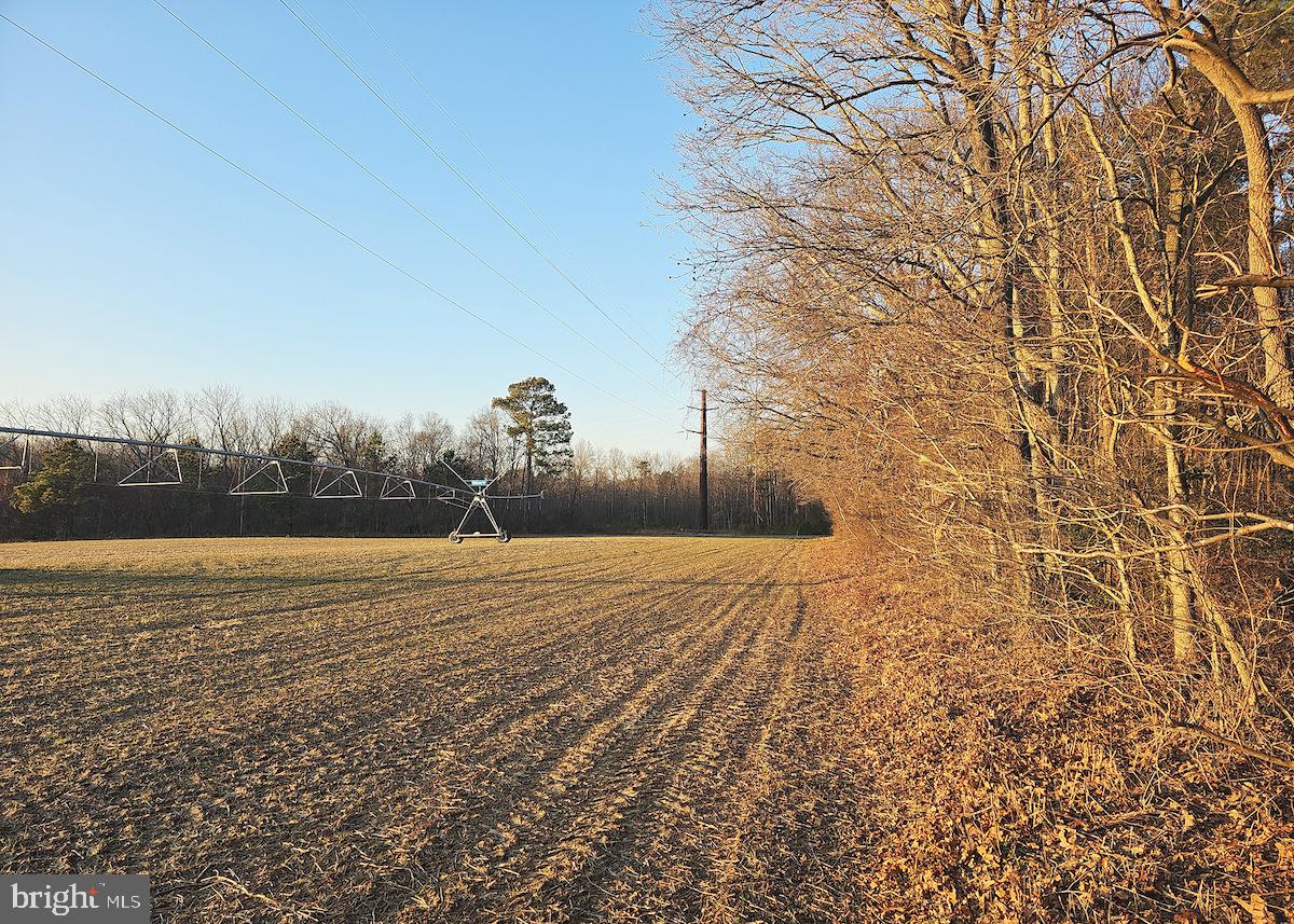 6749 Bobtown Road Hurlock, MD 21643 - Photo 15 of 20 a view of a lake view