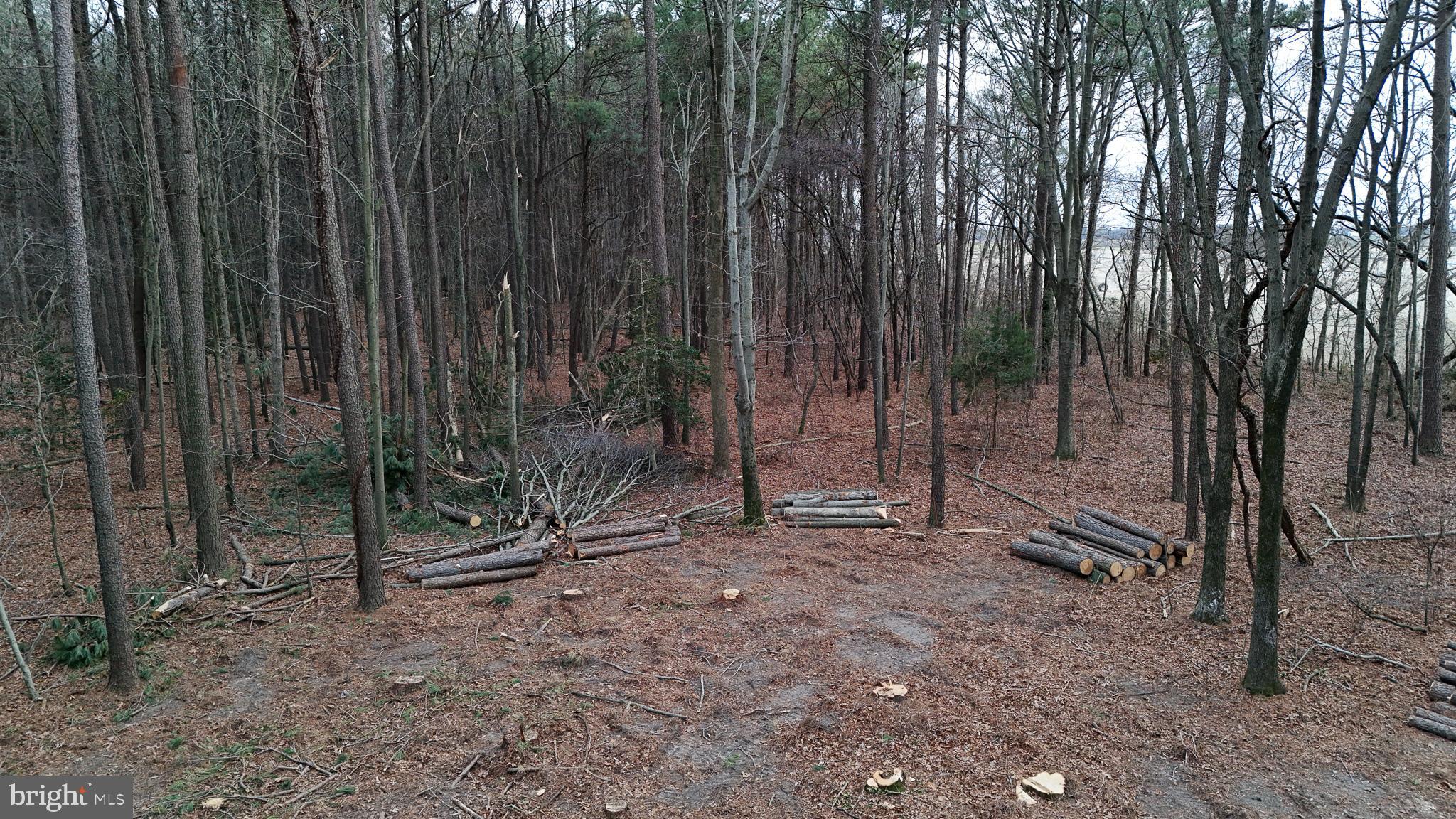 6749 Bobtown Road Hurlock, MD 21643 - Photo 18 of 20 a backyard of a house with lots of green space