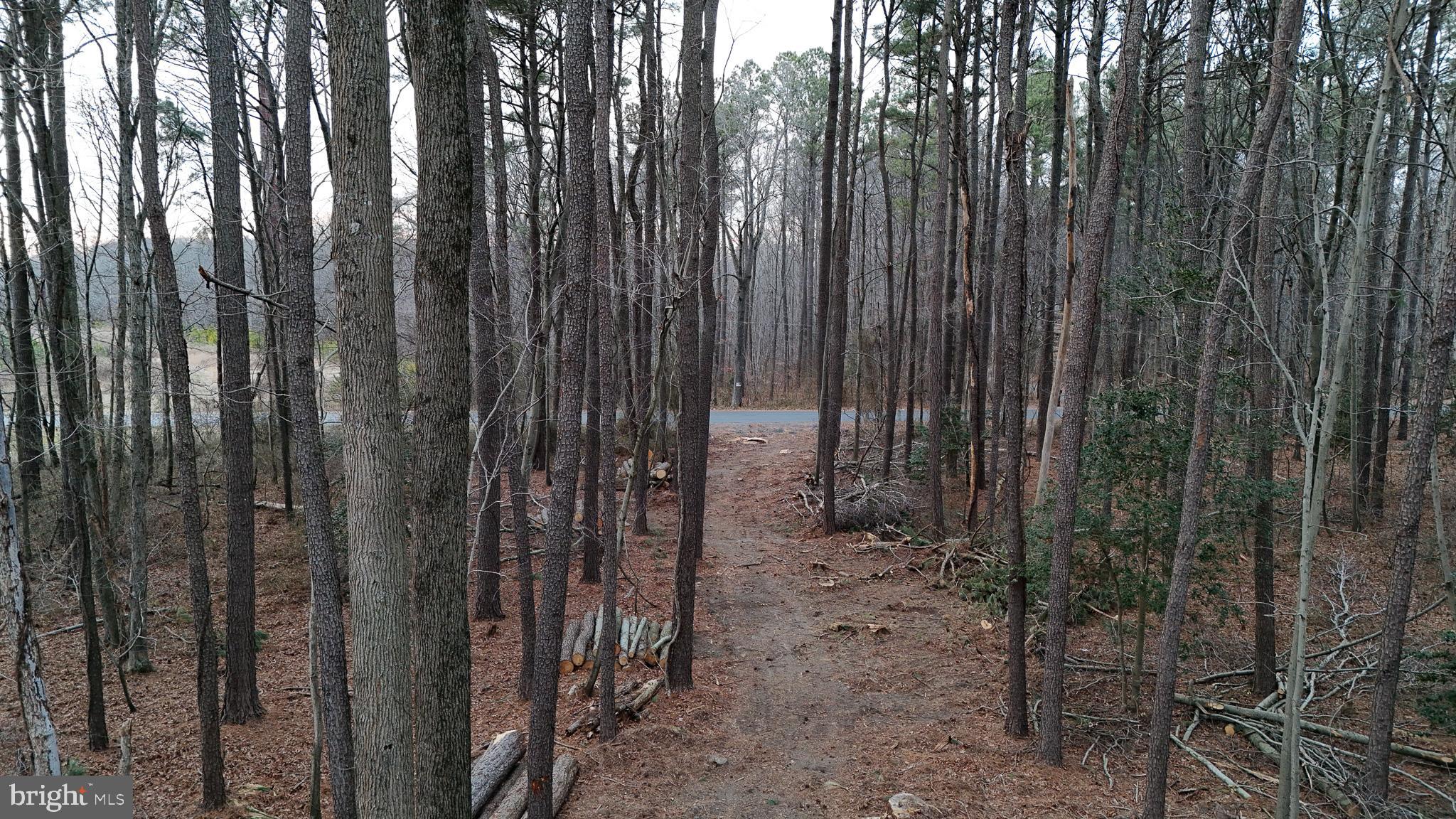 6749 Bobtown Road Hurlock, MD 21643 - Photo 19 of 20 a view of outdoor space with sitting area