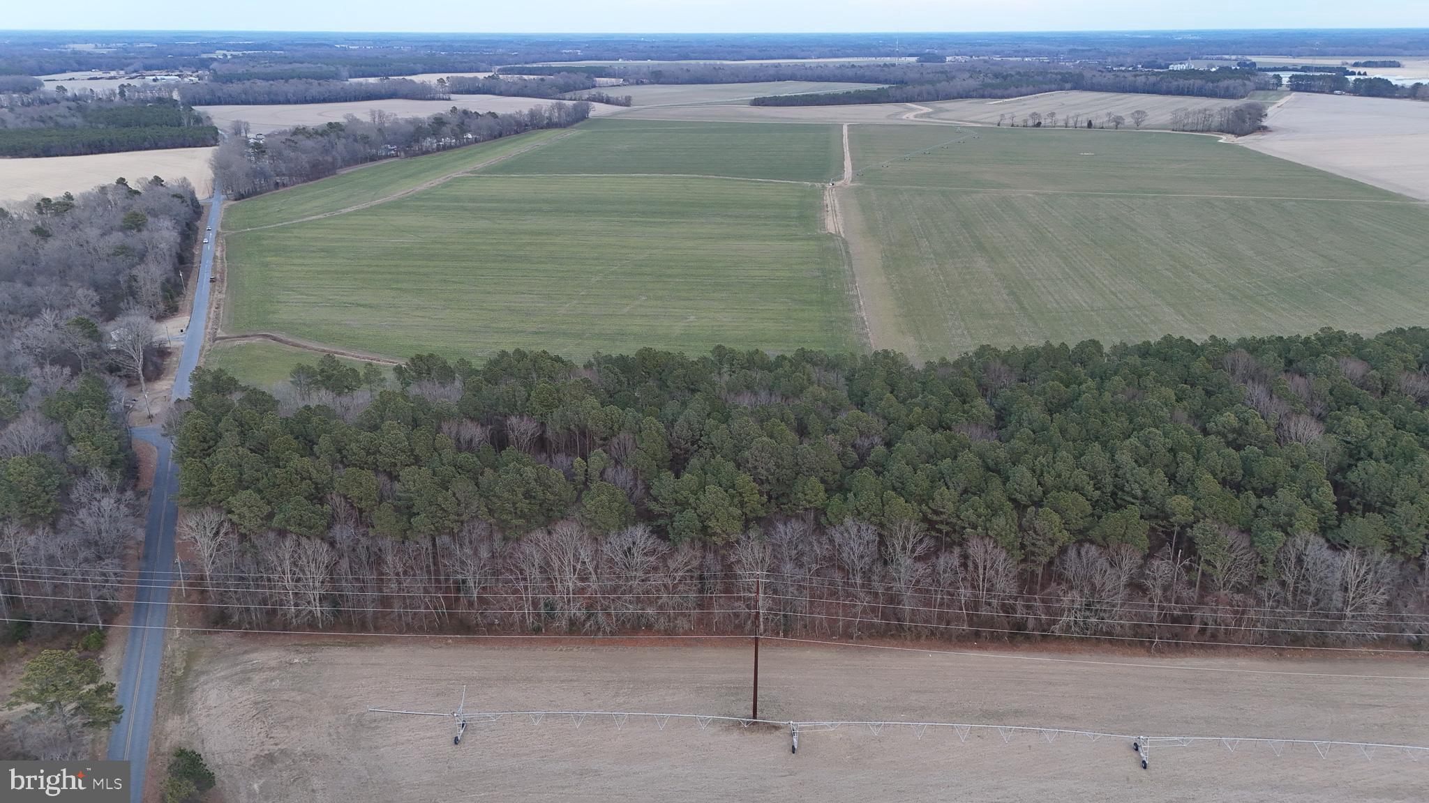 6749 Bobtown Road Hurlock, MD 21643 - Photo 3 of 20 a view of a dry yard