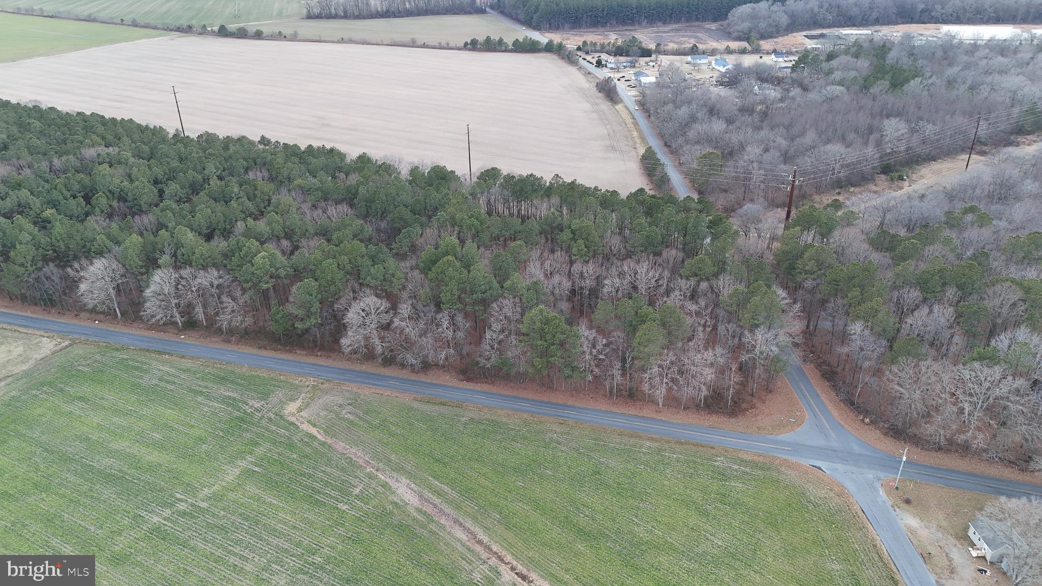 6749 Bobtown Road Hurlock, MD 21643 - Photo 4 of 20 a view of a backyard