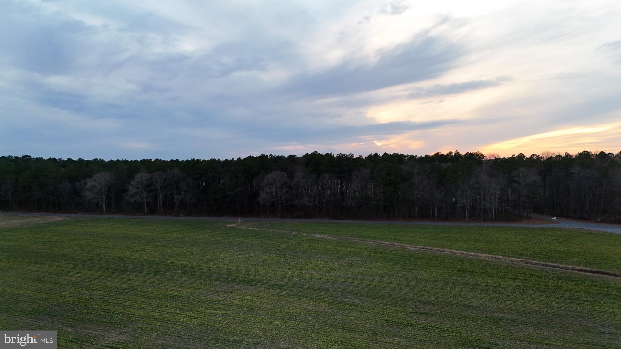 6749 Bobtown Road Hurlock, MD 21643 - Photo 5 of 20 a view of a grassy field